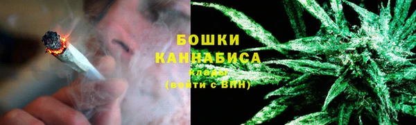 крисы Белоозёрский