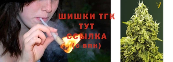 эйфоретик Белокуриха