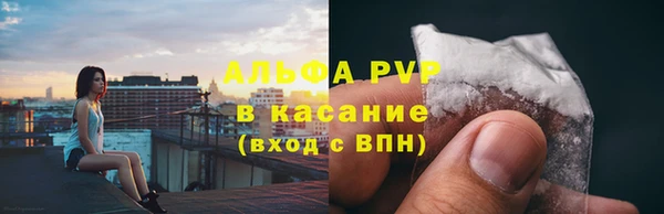 крисы Белоозёрский