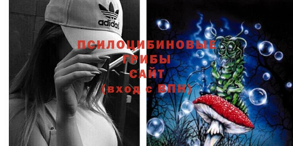 крисы Белоозёрский