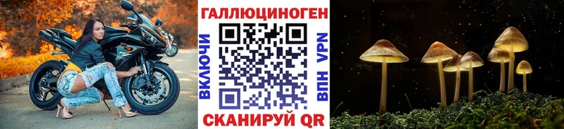 Галлюциногенные грибы GOLDEN TEACHER  закладка  Мариинский Посад 